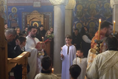viber_image_2023-03-05_12-38-18-641-Medium