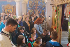 IMG-d38b037b96df4a5dd3002c2c5992101b-V-Medium